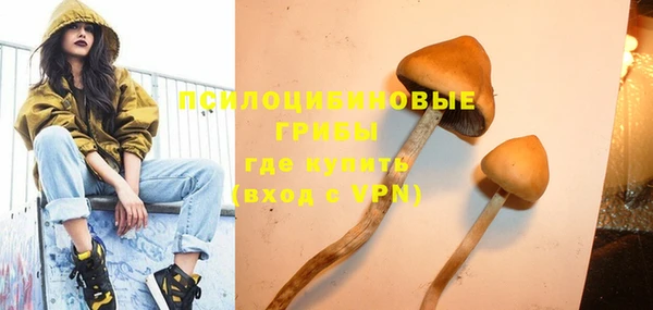 apvp Алексеевка