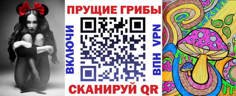 как найти наркотики  blacksprut ONION  Псилоцибиновые грибы мухоморы  Пошехонье 